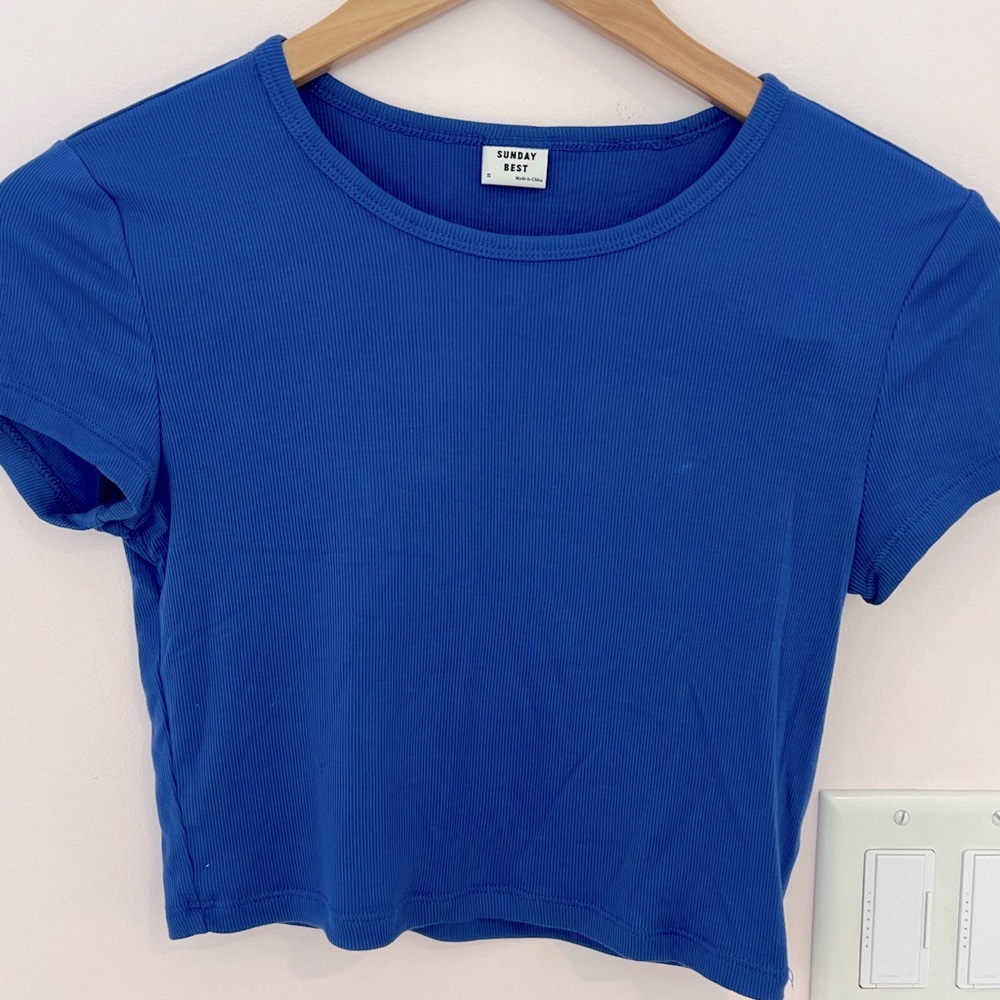 WORN ONCE Aritzia Cropped Ribbed Tee